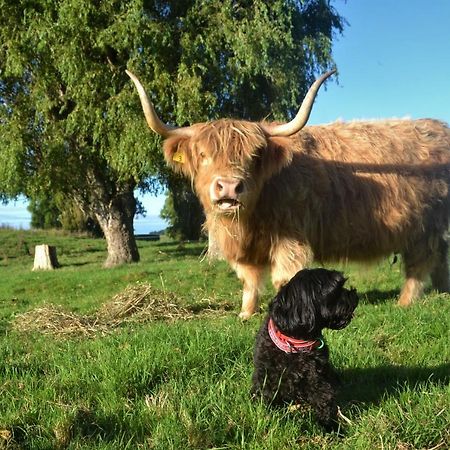 Highlands On Homestead أومارا المظهر الخارجي الصورة