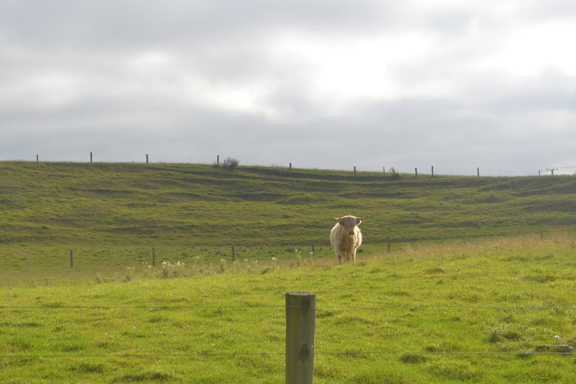 Highlands On Homestead أومارا المظهر الخارجي الصورة