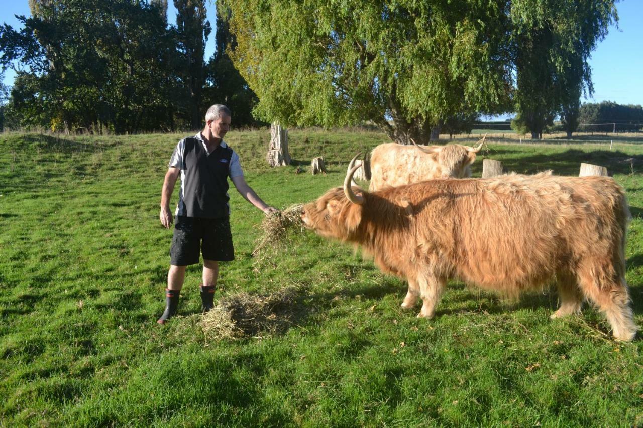 Highlands On Homestead أومارا المظهر الخارجي الصورة