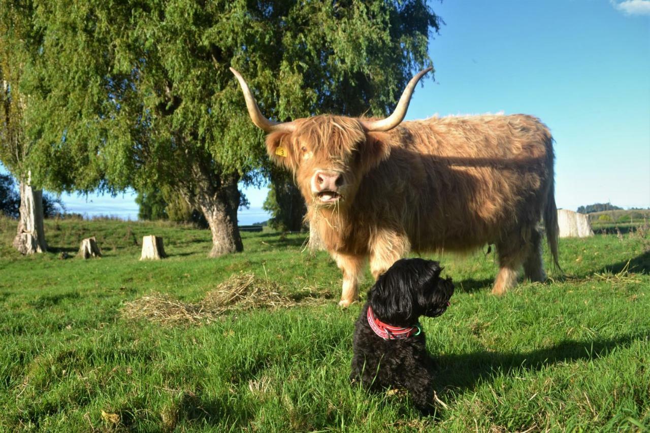 Highlands On Homestead أومارا المظهر الخارجي الصورة